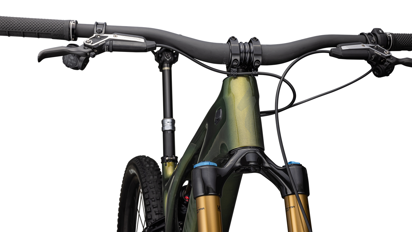 S-Works Turbo Levo 3 T-Type