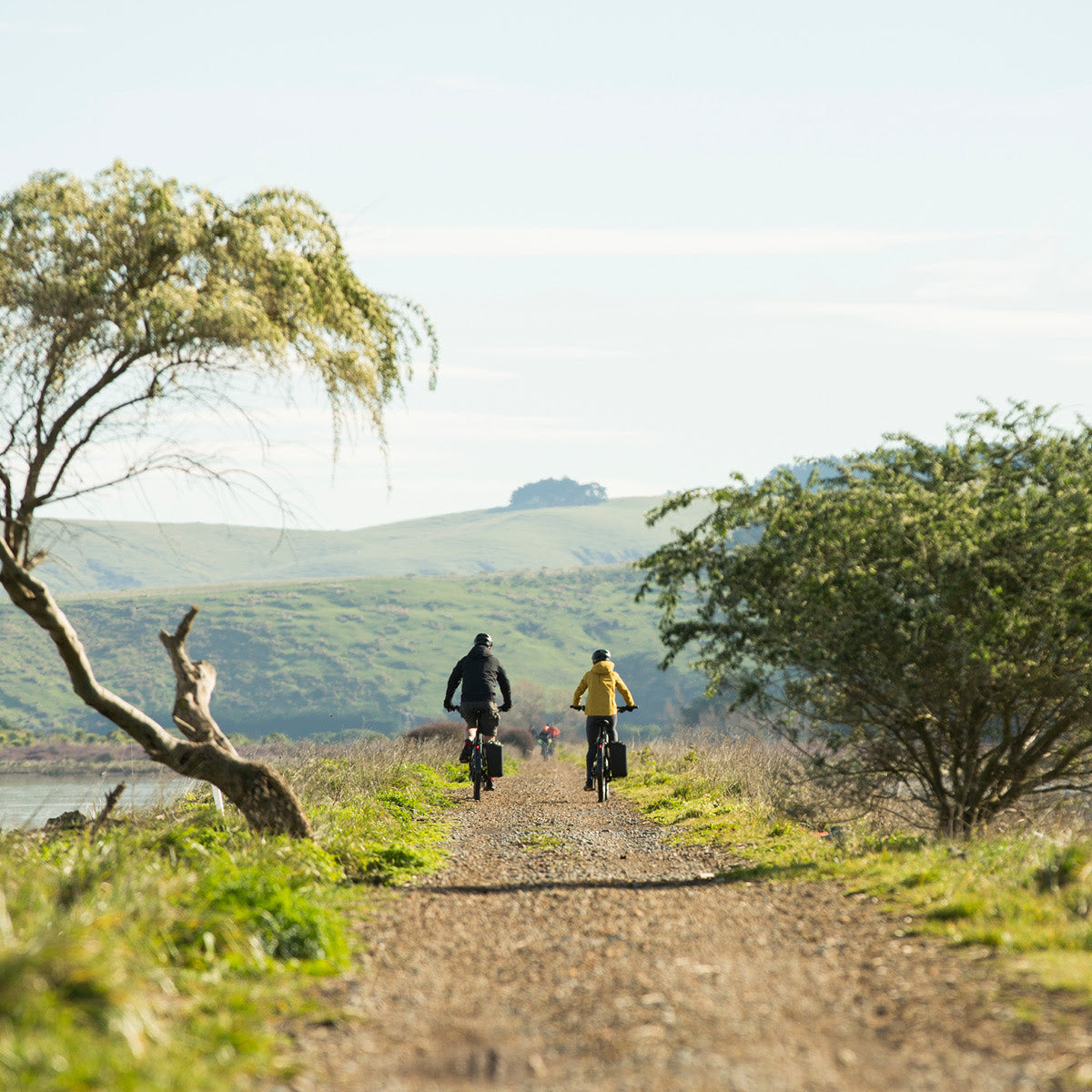 SPECIALIZED Turbo Tero X 6.0