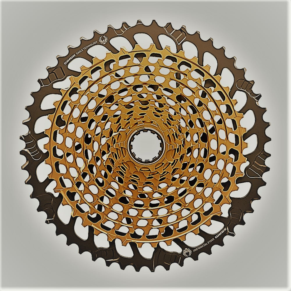 Cassettes & Freewheels