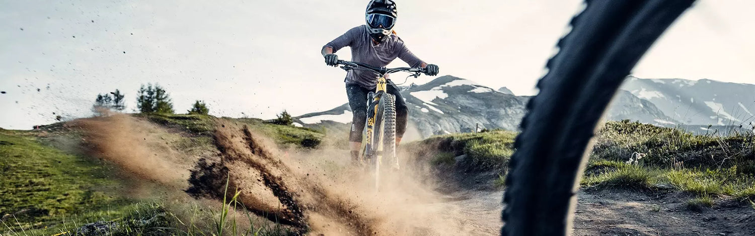 Specialized Bikes & Accessories Tauranga
