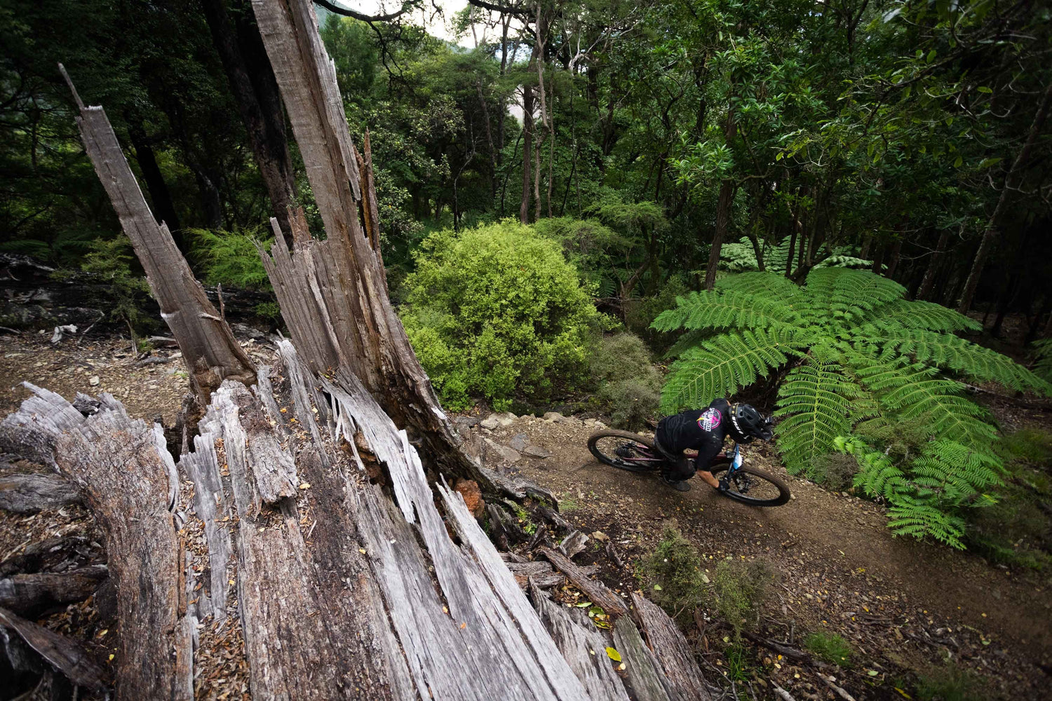 Full Suspension Mountain Bike
