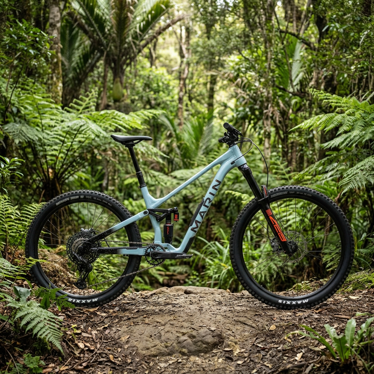Ash Blue Marin mountain bike on a native bush trail surrounded by ferns