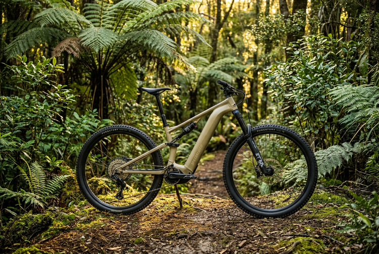 Specialized Levo with a colourful native bush background