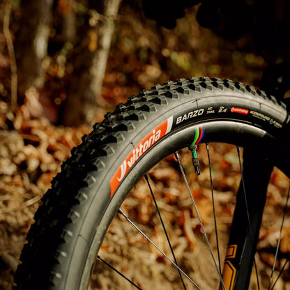 barzo-xc-trail-06