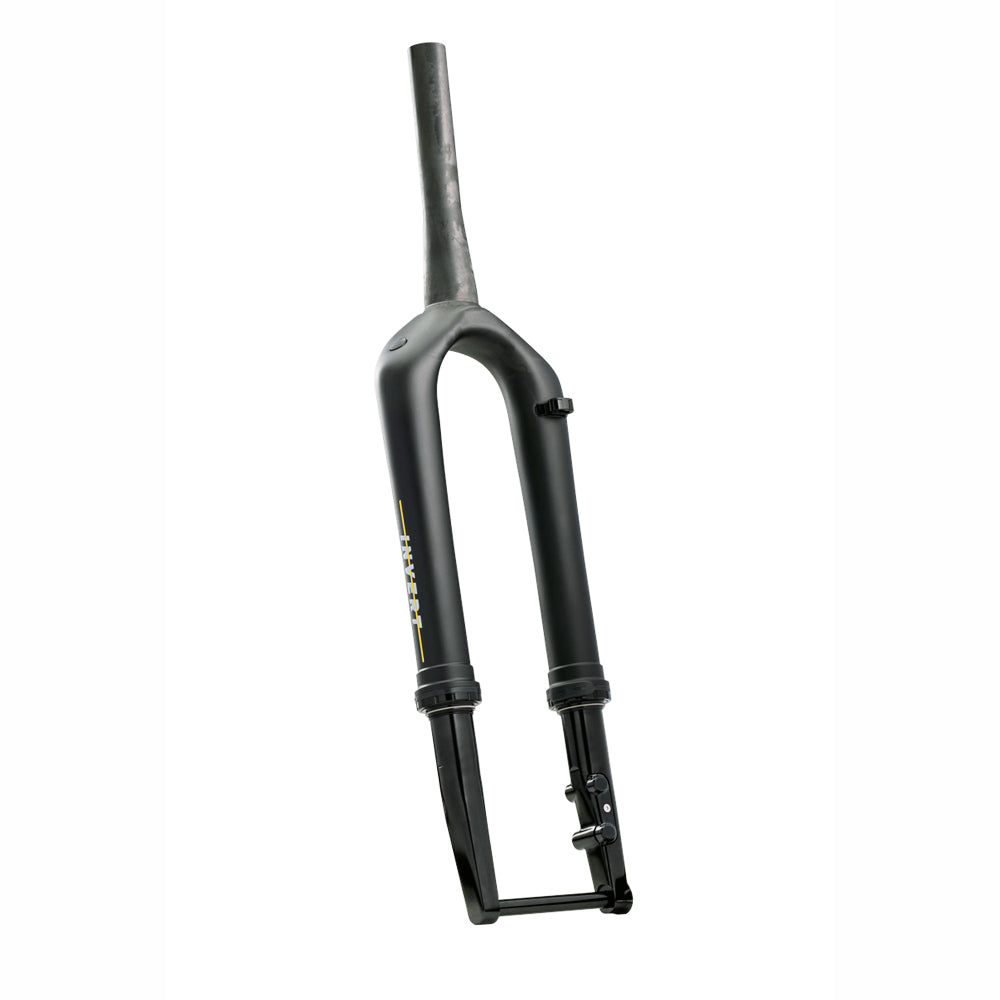 Cane Creek Invert SL Gravel Fork 30mm with Ancora expander plug and 52mm bearing
