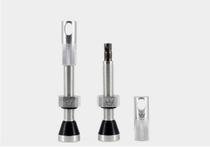 peatys CK tubeless valves silver