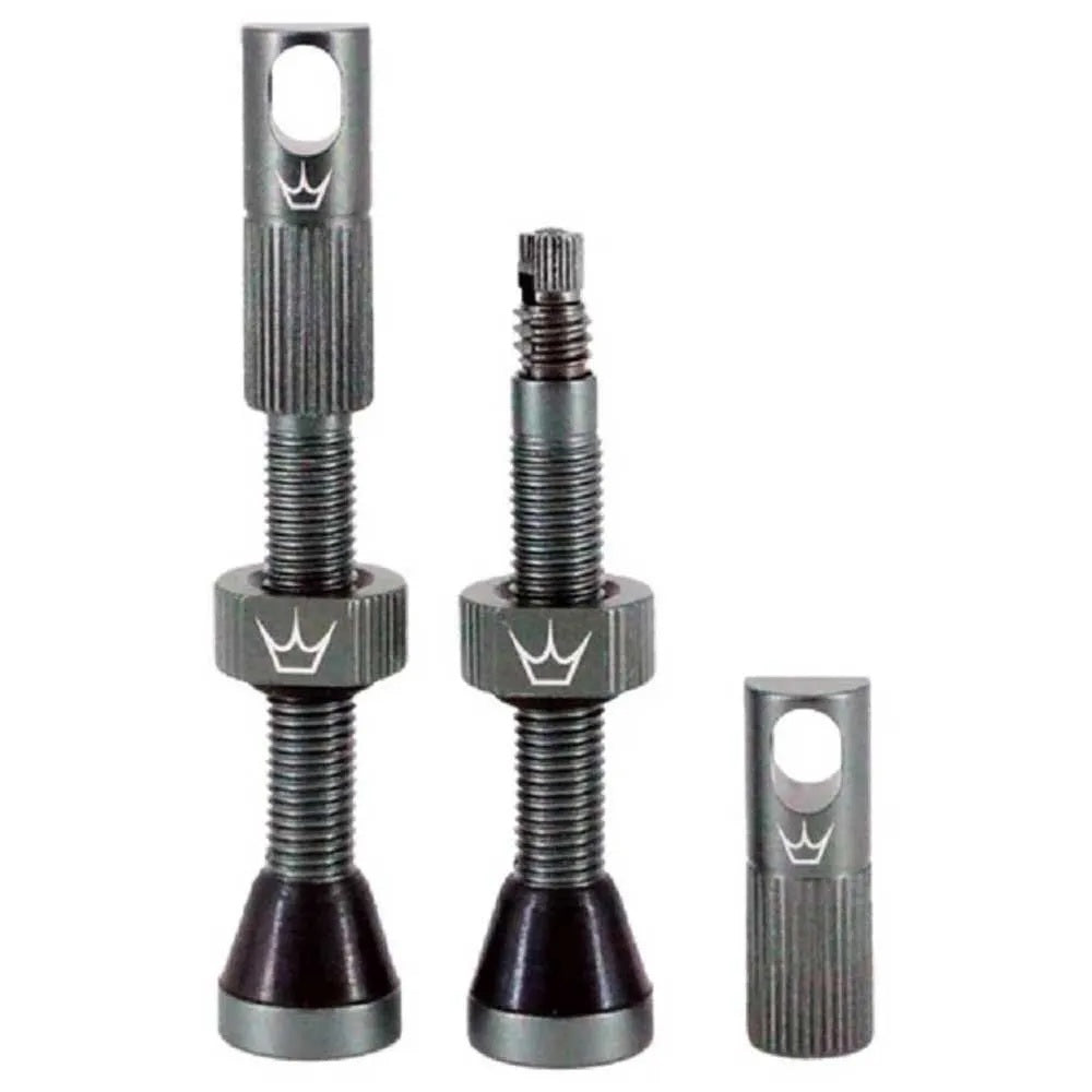 chris-king-peatys-tubeless-valves-Slate
