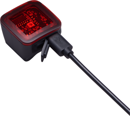 Flashback Taillight