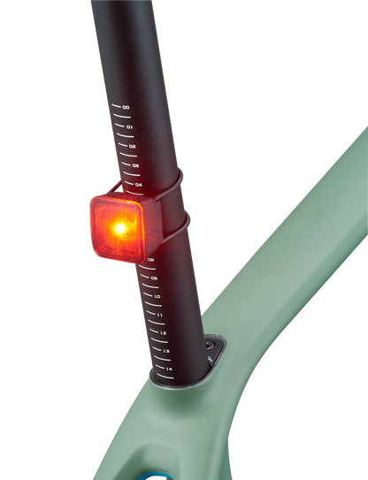 Flashback Taillight