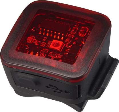 Flashback Taillight