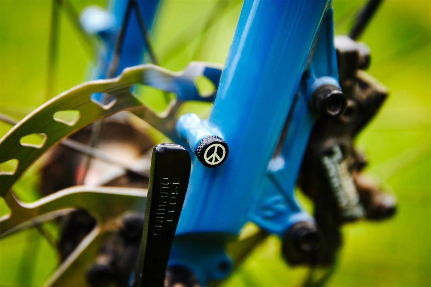 Zit_Bitz_Frame_Bolts_7