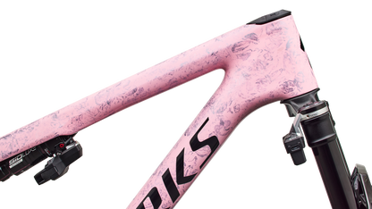 S-Works Epic 9 Frameset
