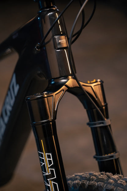Cane Creek Invert Enduro fork