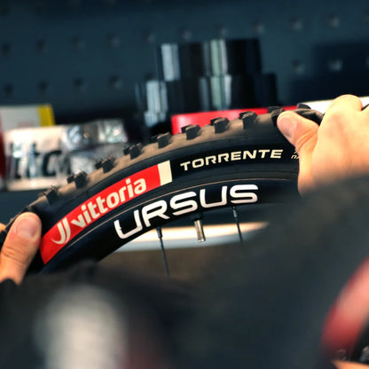 08-torrente-xc-race-set-up_1