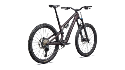 Stumpjumper 15 EVO Expert  - FACT 11m carbon, FOX Performance Elite w/ GENIE, XT Di2