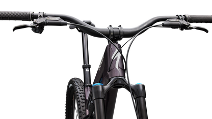Stumpjumper 15 EVO Expert  - FACT 11m carbon, FOX Performance Elite w/ GENIE, GX Eagle AXS