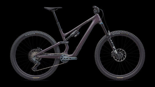 Stumpjumper 15 EVO Expert Di2