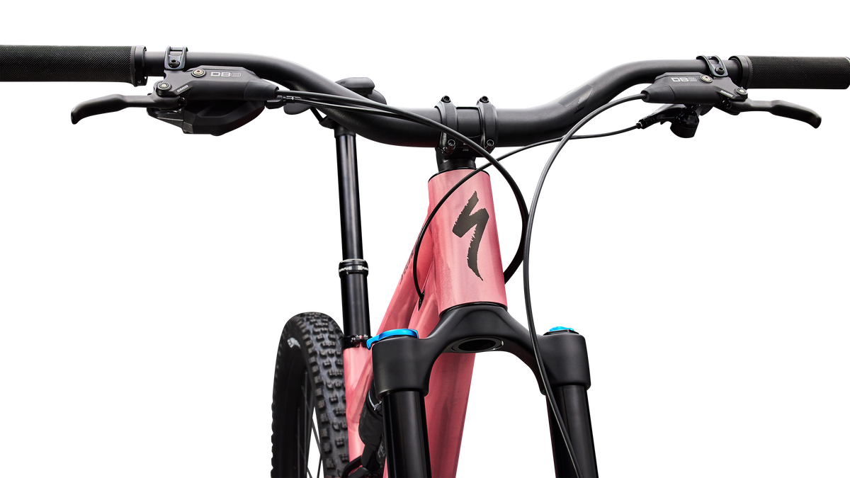Stumpjumper 15 EVO Alloy Comp  - M5 Alloy, FOX Rhythm & Performance w/ GENIE, Eagle 70