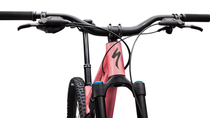 Stumpjumper 15 EVO Alloy Comp  - M5 Alloy, FOX Rhythm & Performance w/ GENIE, Eagle 70