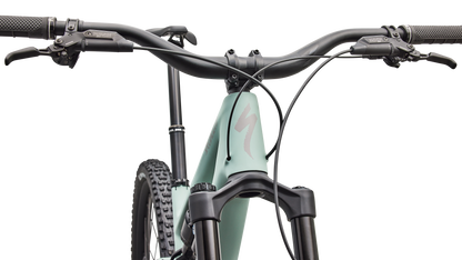 Stumpjumper 15 EVO Expert