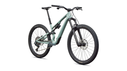 Stumpjumper 15 EVO Expert