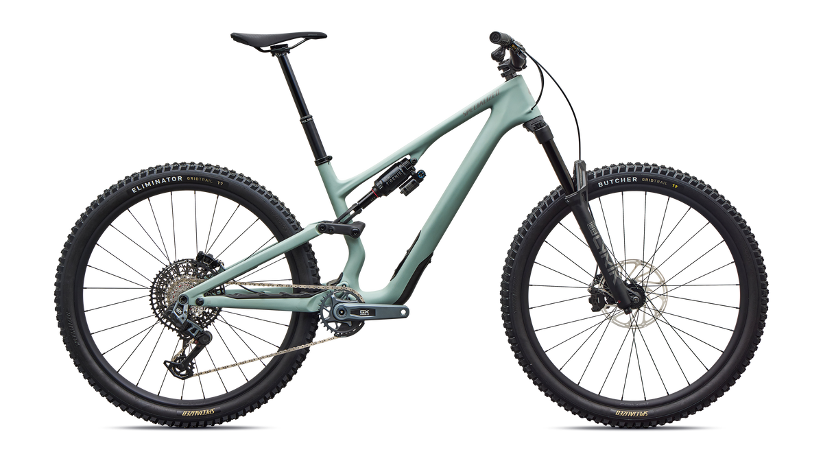 Stumpjumper 15 EVO Expert