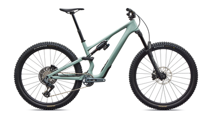 Stumpjumper 15 EVO Expert