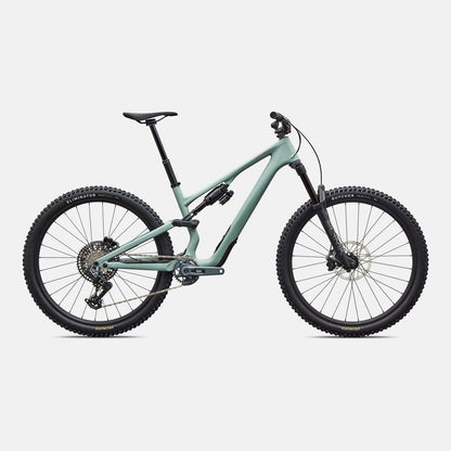 Stumpjumper 15 EVO Expert