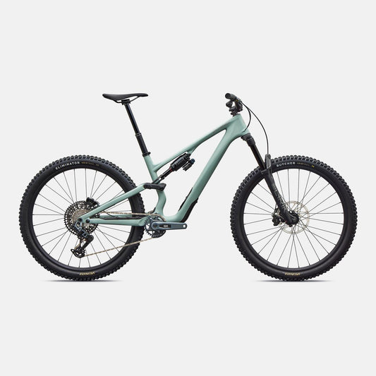 Stumpjumper 15 EVO Expert