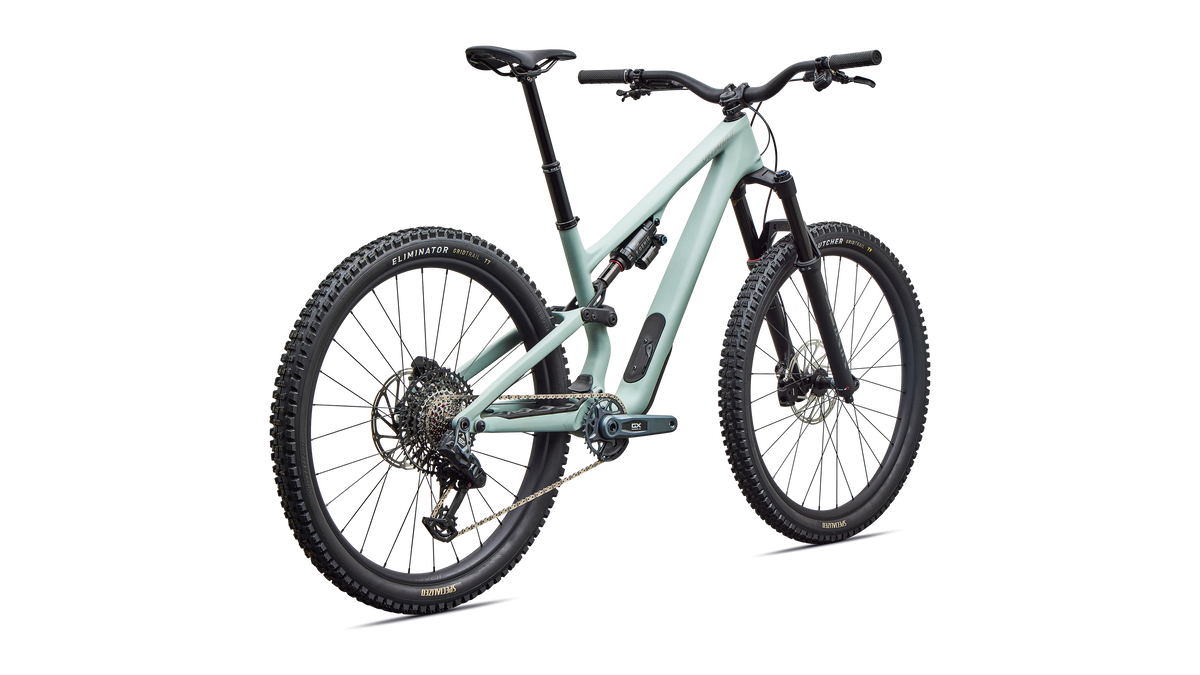 Stumpjumper 15 EVO Expert