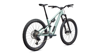 Stumpjumper 15 EVO Expert