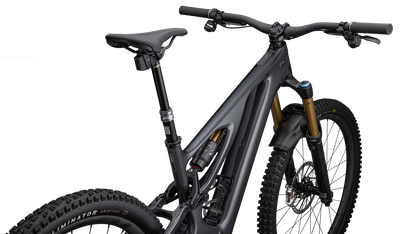 S-Works Turbo Levo 3 T-Type