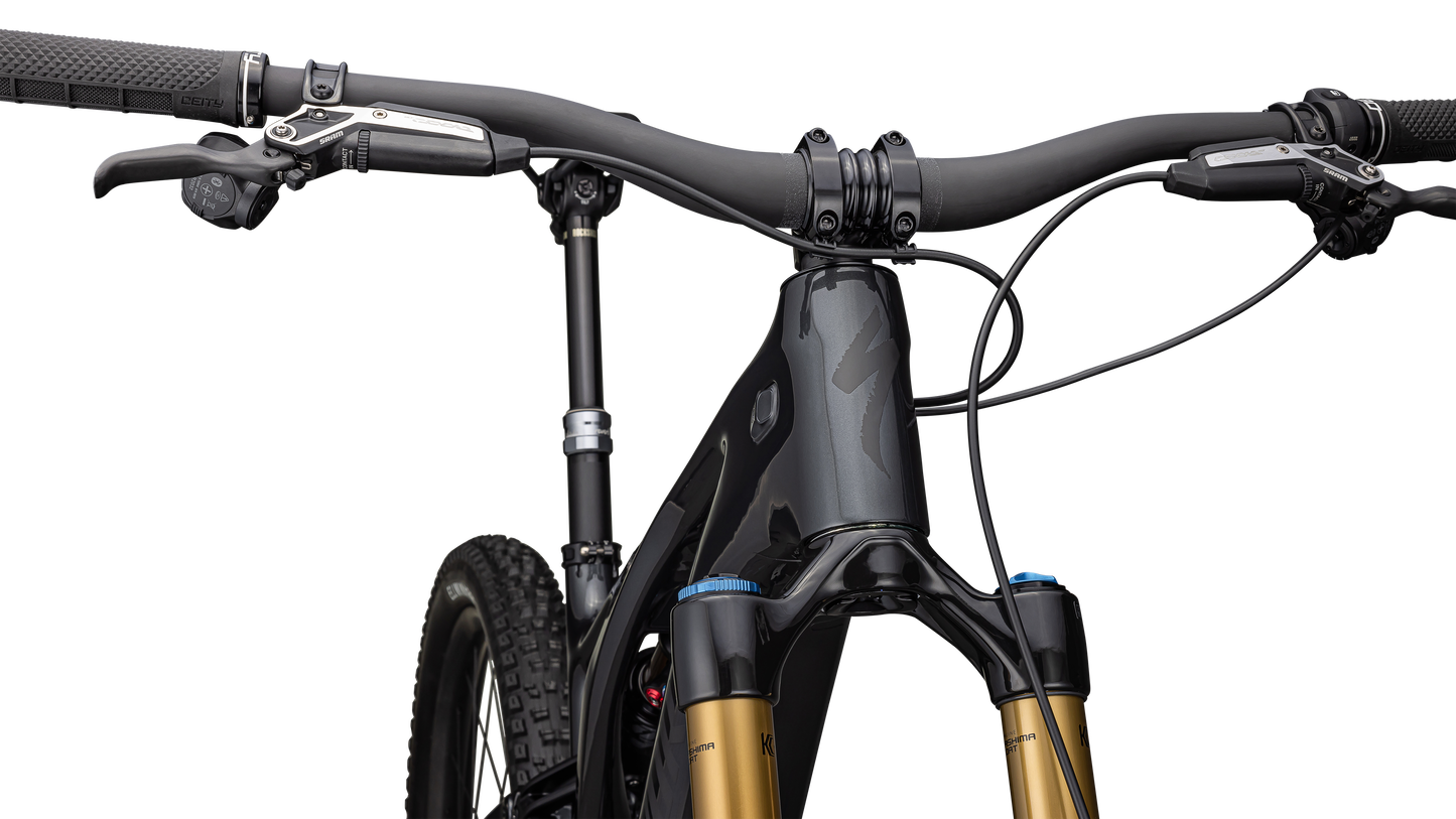 S-Works Turbo Levo 3 T-Type