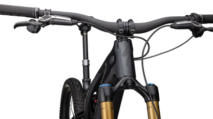 S-Works Turbo Levo 3 T-Type
