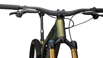 S-Works Turbo Levo 3 T-Type