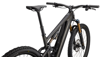 Turbo Levo 4 Pro