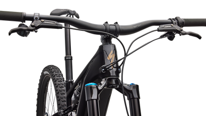 Turbo Levo R Expert