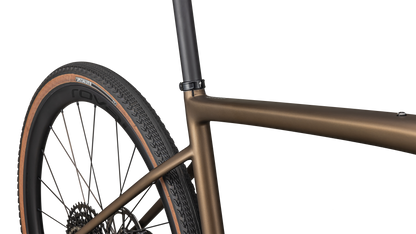 Diverge Expert Carbon - SRAM Rival eTAP AXS / GX Eagle AXS