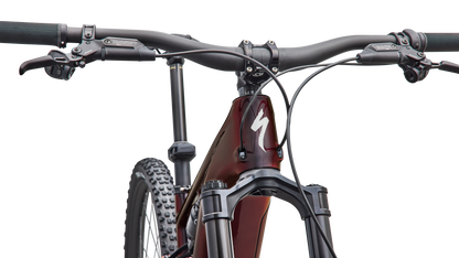 Turbo Levo R Pro