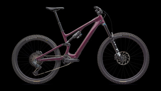 Levo SL Expert Carbon (2026)