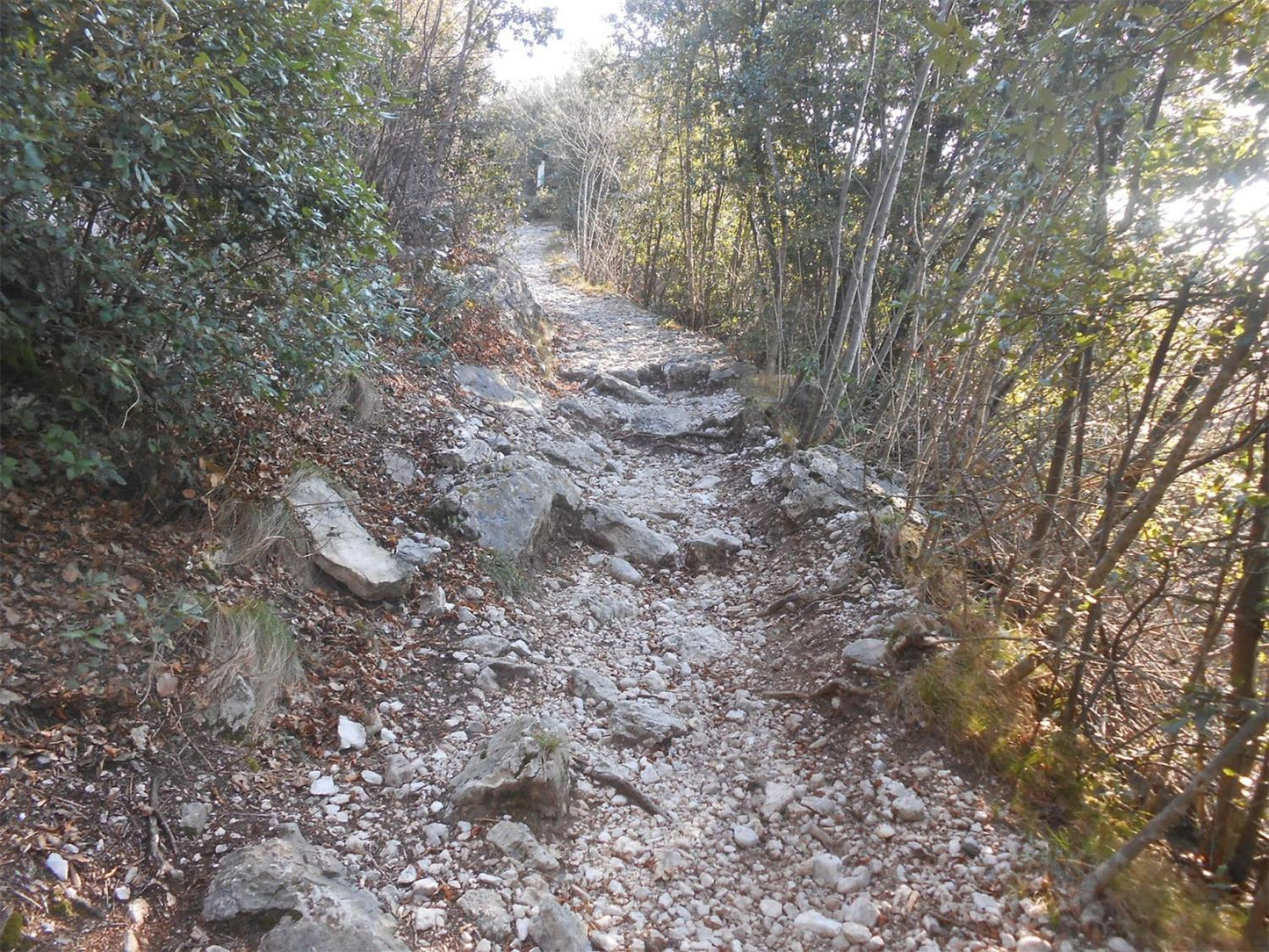 mixed MTB