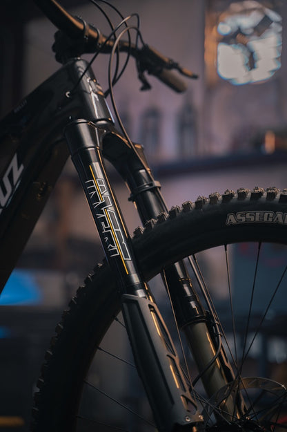 Cane Creek Invert Enduro fork