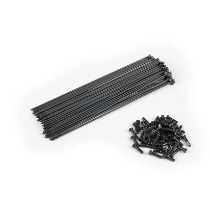 PG__Plain_Gauge__Spokes_3