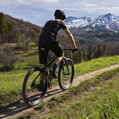 ENVE - BOOST MOUNTAIN FORK