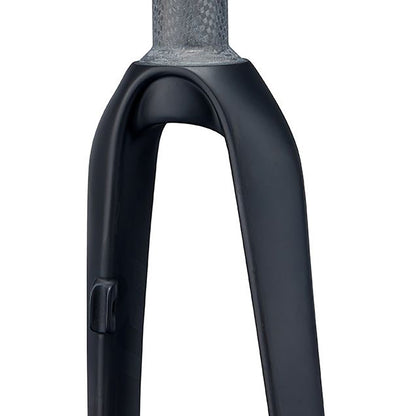 Ritchey Road Disc Fork Back