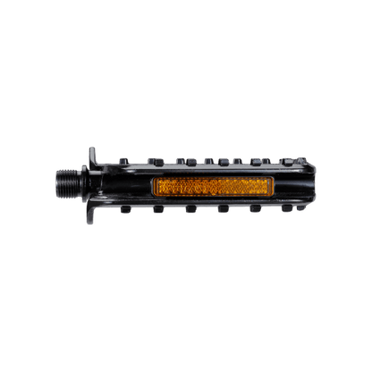 E-BPD-49_4