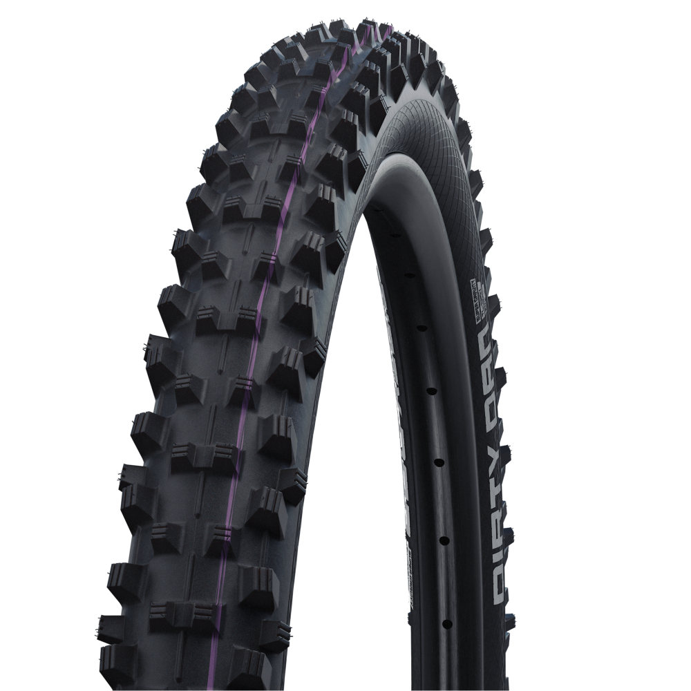 Schwalbe Tyre Dirty Dan